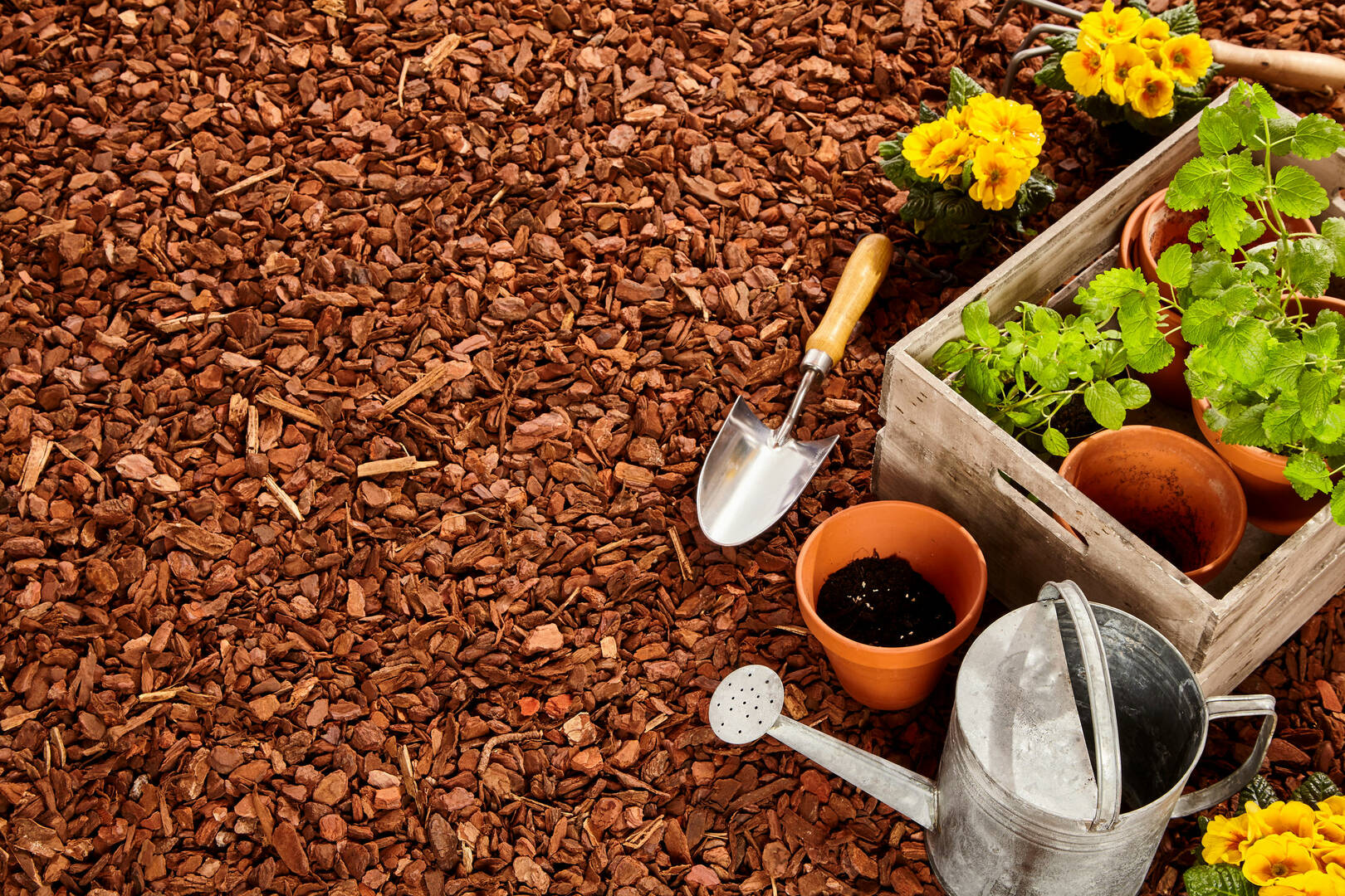 Banta Landscaping Corp logo