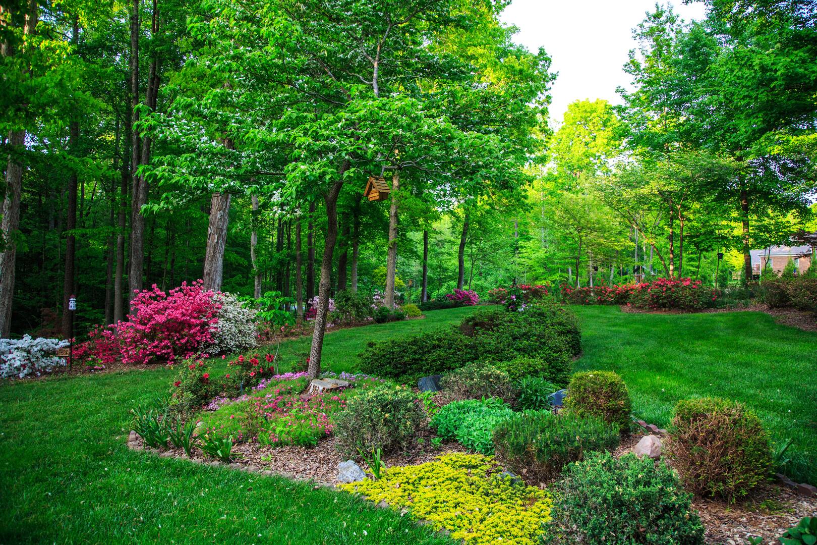 Tomax Tree Service logo