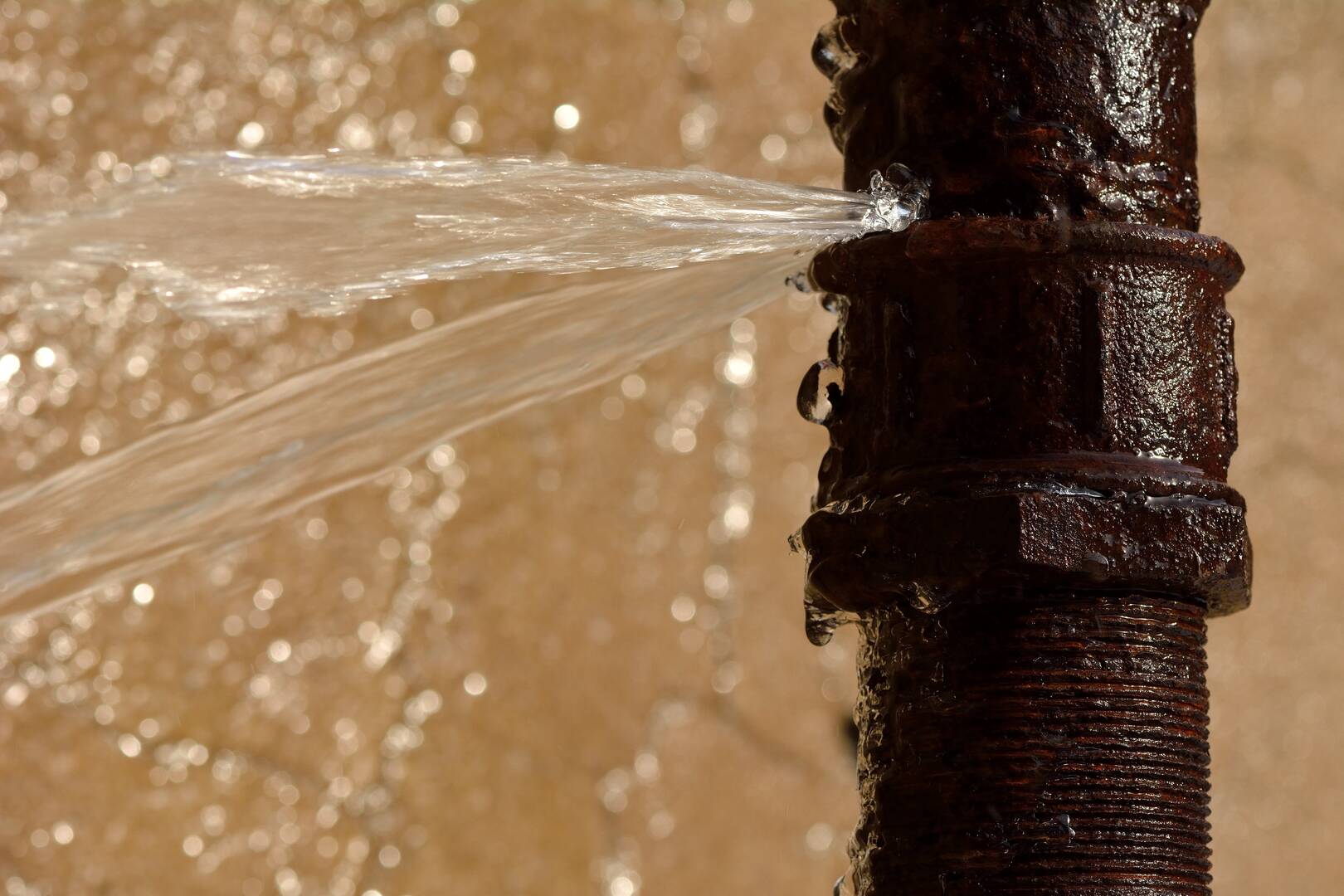 A. Webster Sewer & Drain LLC logo