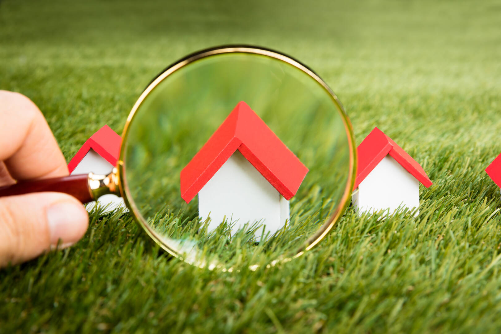 Lynn LeMaster, Broker Associate/REALTOR logo
