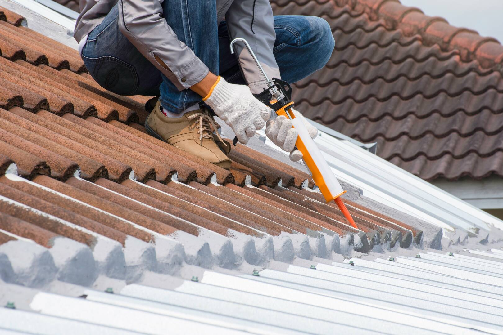 Roof Evolution logo