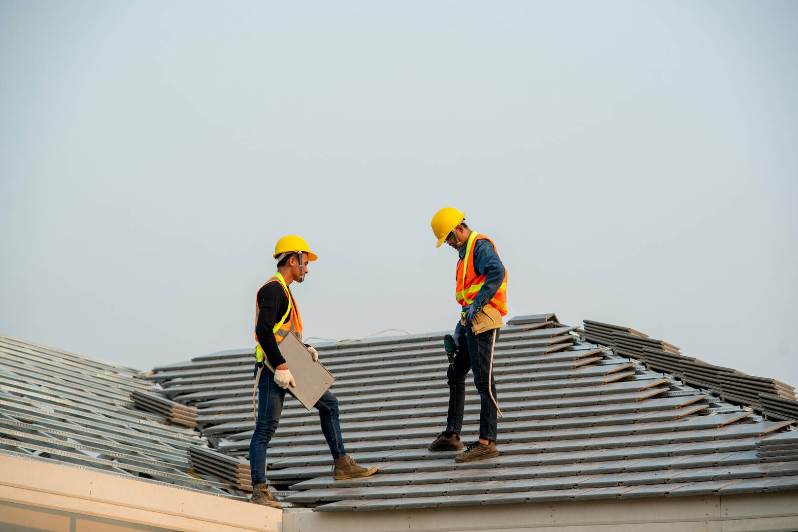 Blue Frog Roofing Limited logo